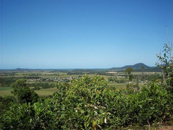 ELEVATED RAINFOREST ACREAGE WITH OCEAN VIEWS !! Picture 2