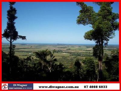 ELEVATED RAINFOREST ACREAGE WITH OCEAN VIEWS !! Picture