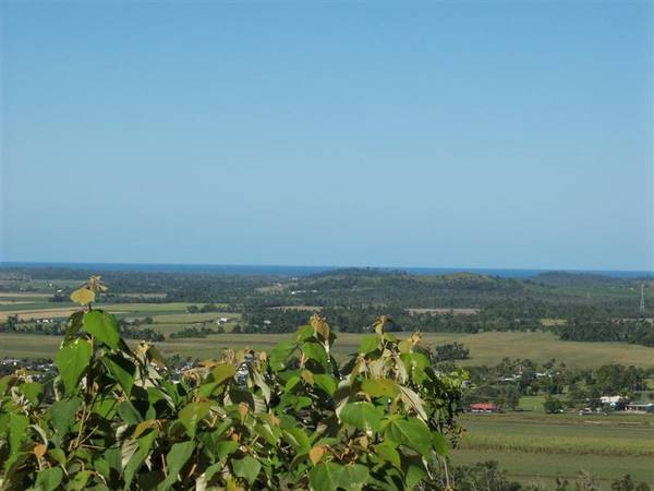 ELEVATED RAINFOREST ACREAGE WITH OCEAN VIEWS !! Picture 3