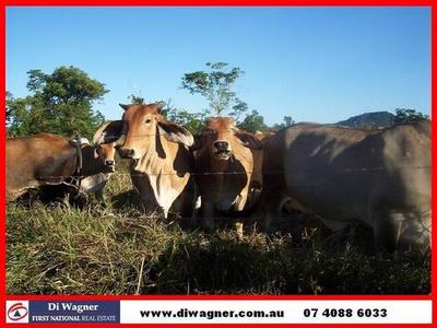 ELEVATED RURAL ACREAGE! Picture