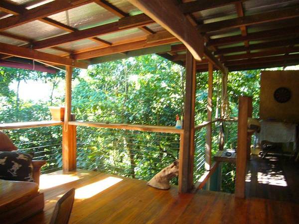 TROPICAL RAIN FOREST RETREAT Picture 2