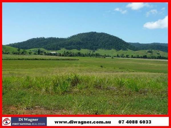 PRIME RIVER SOIL.... Picture 1