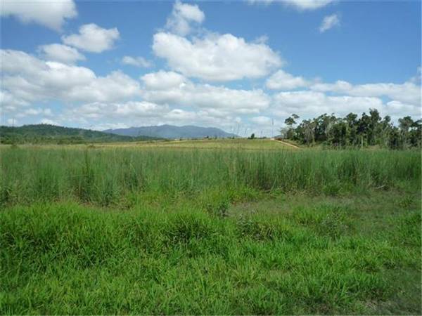 PRIME RIVER SOIL.... Picture 2