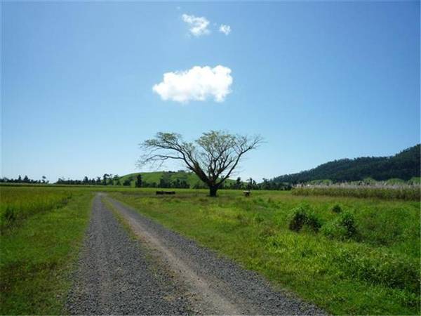 PRIME RIVER SOIL.... Picture 3