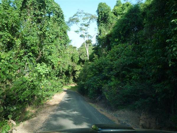 SECLUDED ACREAGE ACROSS FROM THE BEACH Picture 2