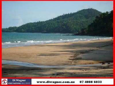 SECLUDED ACREAGE ACROSS FROM THE BEACH Picture SECLUDED ACREAGE ACROSS FROM THE BEACH Picture