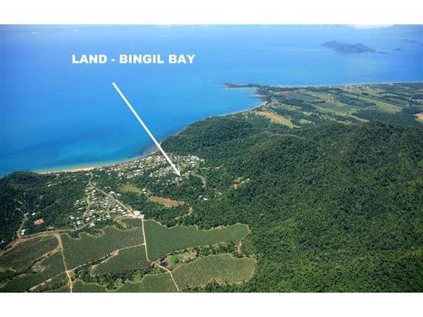 TROPICAL RAINFOREST DELIGHT! Picture 3