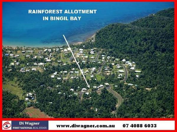 TROPICAL RAINFOREST DELIGHT! Picture 1