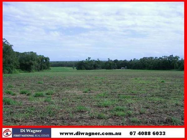 A HIDDEN TROPICAL HAVEN Picture 1