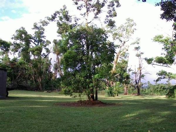 A HIDDEN TROPICAL HAVEN Picture 3