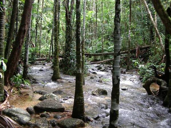 A HIDDEN TROPICAL HAVEN Picture 2