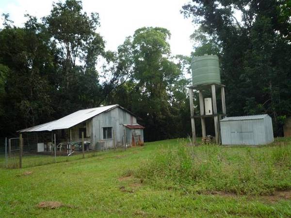 A HIDDEN TROPICAL HAVEN Picture 3