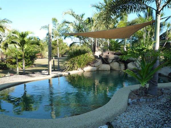 LIGHT UP MY LIFE Picture 2