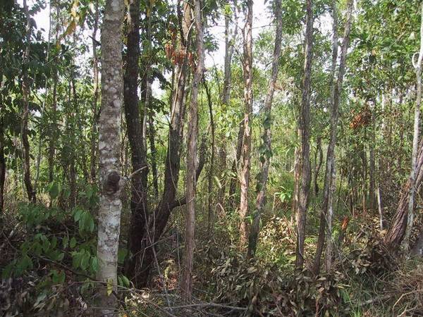 DEVELOPMENT SITE - 82 HECTARES Picture 3