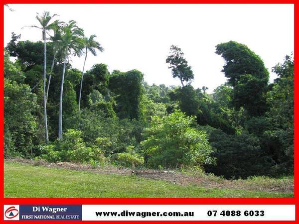 PRIVACY IN A RAINFOREST SETTING WITH AN ATTRACTIVE PRICE TAG! Picture 1