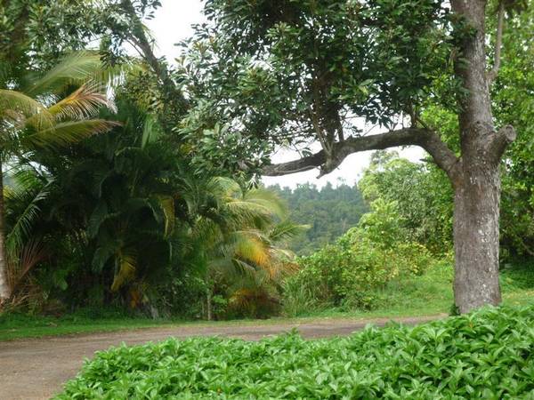 ECO TOURISM OPPORTUNITY Picture 3