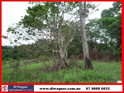 PRIVACY REIGNS SUPREME! Picture