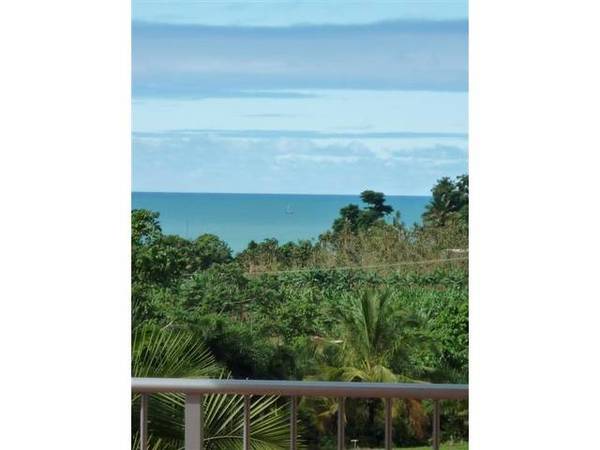 SECLUDED MEDITERRANEAN VILLA ON 12 HA (29 ACRES) - DECEASED ESTATE Picture 3