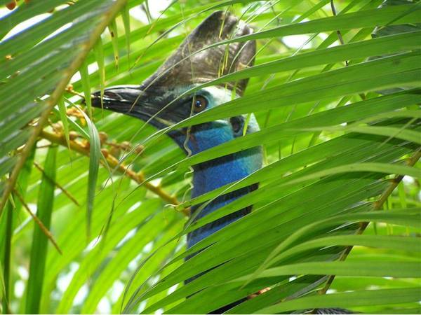 WONGALING WATERS GREAT FAMILY LOCATION! Picture 3