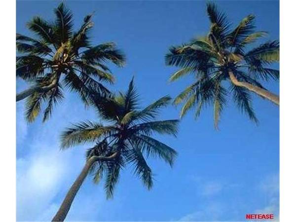 WONGALING WATERS GREAT FAMILY LOCATION! Picture 2