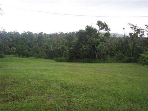 10 ACRES JUST 5 MINUTES FROM MISSION BEACH Picture 3