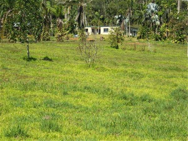 ACREAGE WITH CREEK AND 4 BEDROOM HOUSE - CLOSE TO MISSION BEACH Picture 3