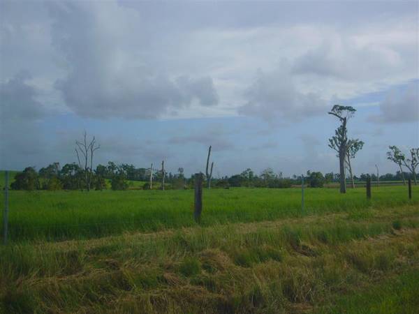 CATTLE FATTENING PROPERTY Picture 3