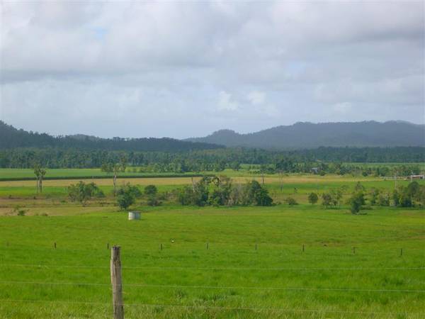 CATTLE FATTENING PROPERTY Picture 2