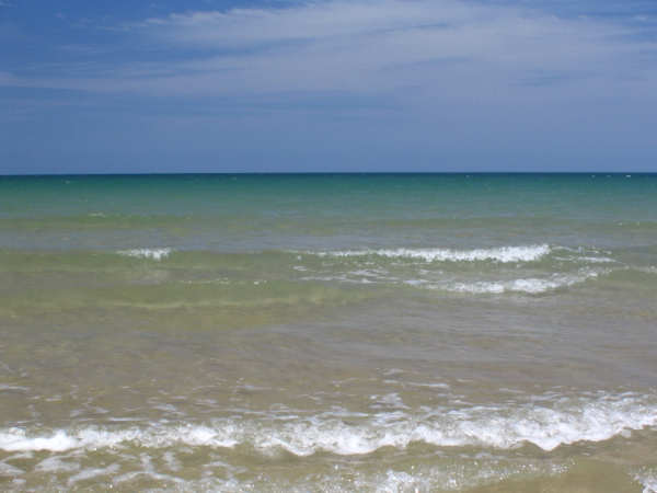 Close to the Park Picture 3