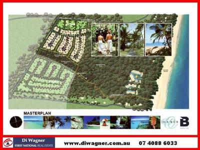 Oasis
..........
Mission Beach Picture