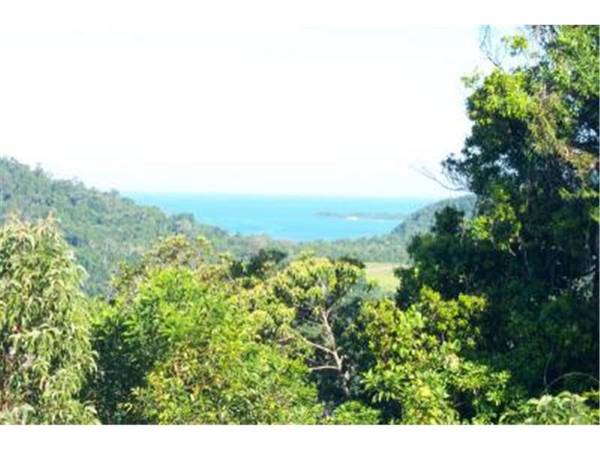 ON TOP OF THE WORLD Picture 2