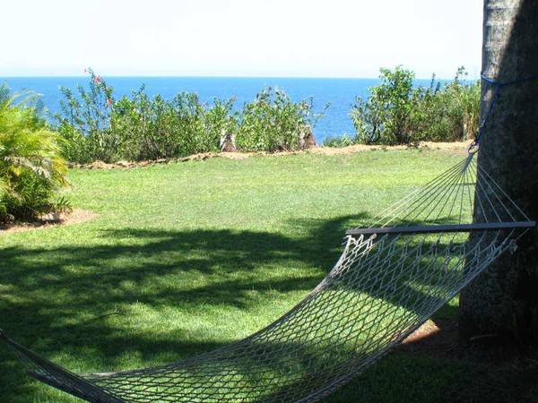 Position, Position, Position! Picture 2