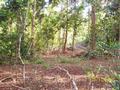 PRIVATE RAINFOREST ACREAGE Picture PRIVATE RAINFOREST ACREAGE Picture