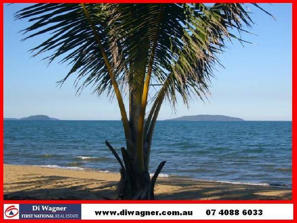 Take the Back Seat! Picture 1