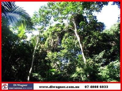 Golf Course or Private Landing Strip?
Granadilla - Real Estate Investment of
Lifetime! Picture