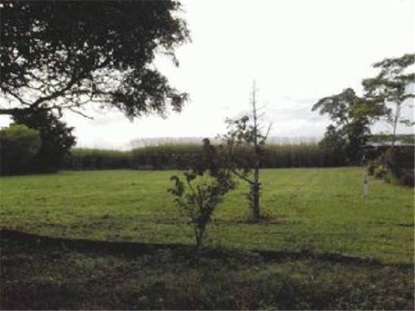 WON'T FENCE YOU IN! Picture 3