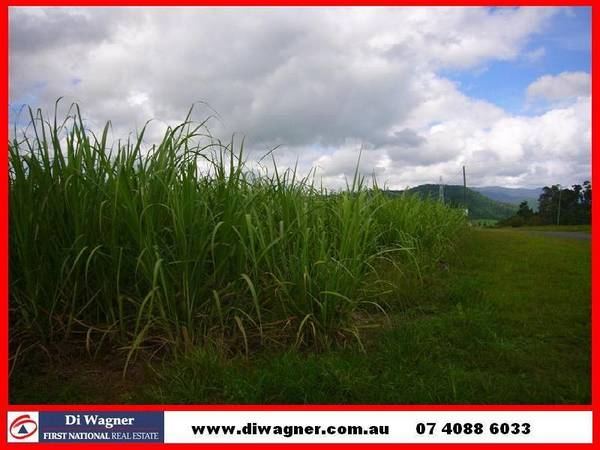 WON'T FENCE YOU IN! Picture 1