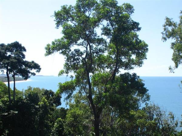 YOUR VERY OWN PRIVATE RAINFOREST Picture 2