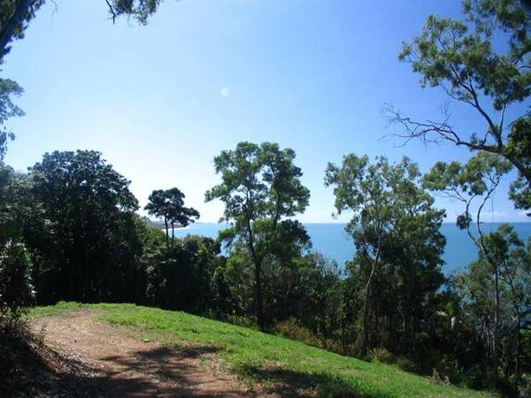 YOUR VERY OWN PRIVATE RAINFOREST Picture 1