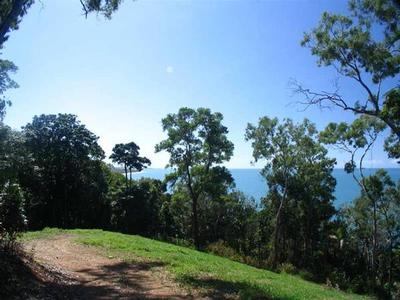 YOUR VERY OWN PRIVATE RAINFOREST Picture