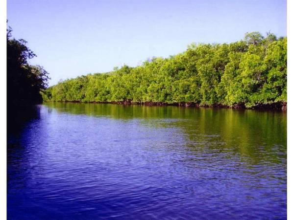 Mud Crabbing ... Wild Croc Spotting
...
Bird Watching Picture 3