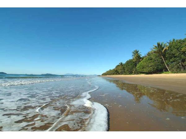 ABSOLUTE BEACHFRONT LAND SALE Picture 2