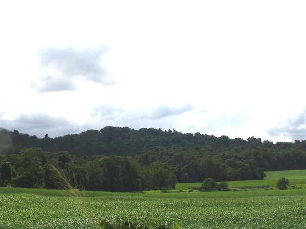 RURAL ACREAGE - MAIN ROAD FRONTAGE Picture 3