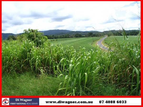 LUSH RURAL ACREAGE Picture 1