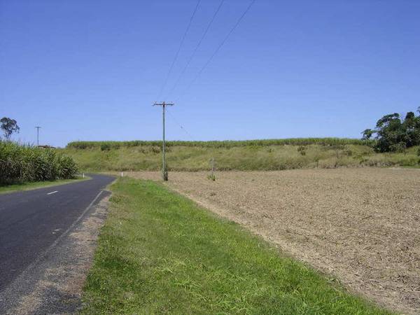 LUSH RURAL ACREAGE Picture 2