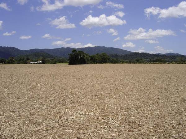 LUSH RURAL ACREAGE Picture 3