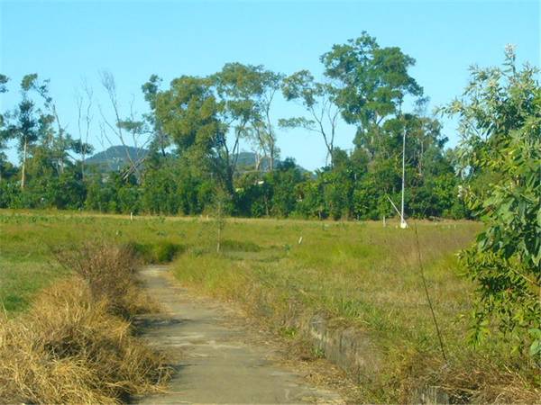 Elevated Building Site with Approval for 21 Units Picture 3