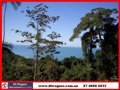 JEWEL OF THE REEF Picture