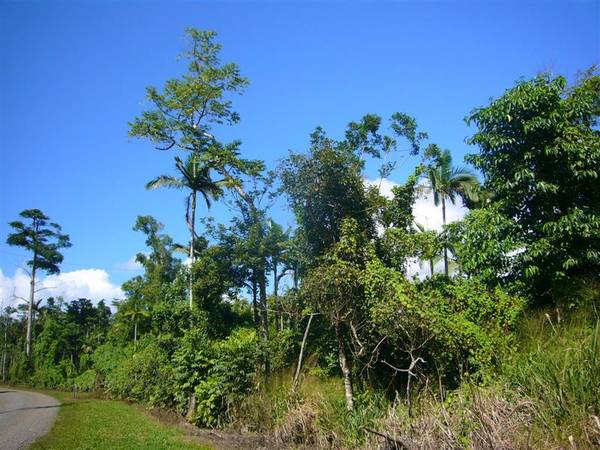 Magical Mystical Retreat Picture 1