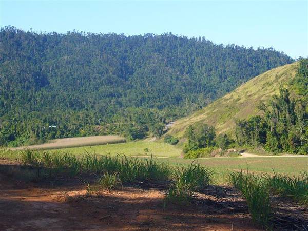 LIFESTYLE ACREAGE WITH INCOME POTENIAL Picture 3